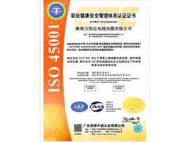 職業(yè)健康安全管理體系認(rèn)證證書